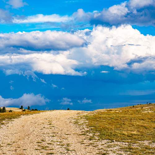 Photo #6957239