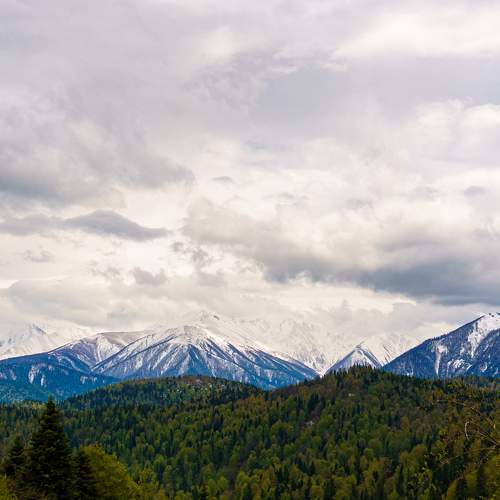 Photo #6957258