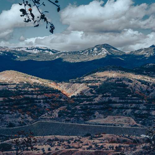 Photo #6957282