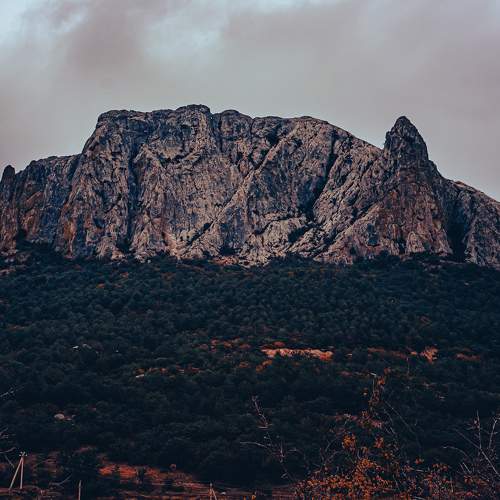 Photo #6957295