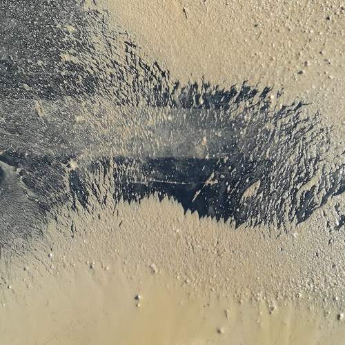 Photo #6957714