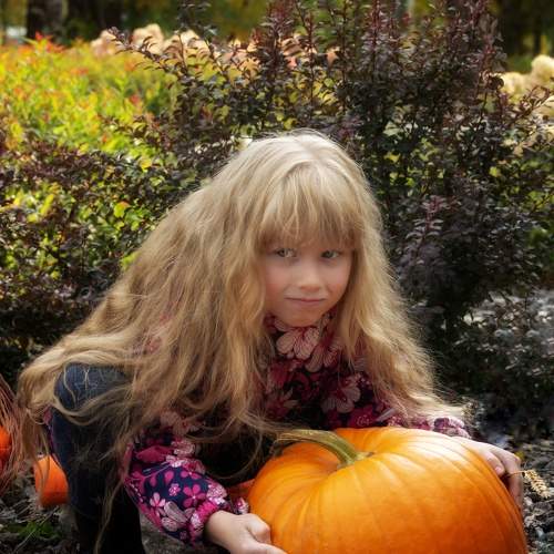 Photo #6957745