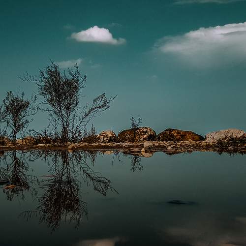 Blue Reflection