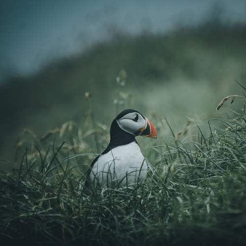 Photo #6958001