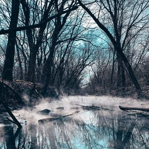 Photo #6958254