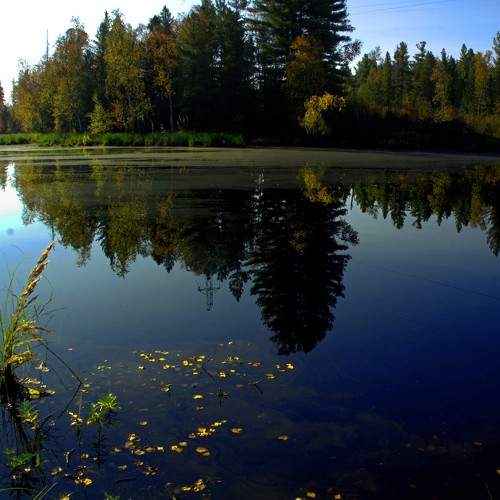 Photo #6958307