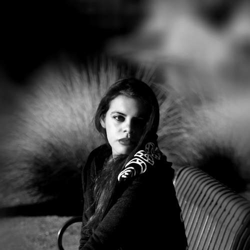 Photo #6958402