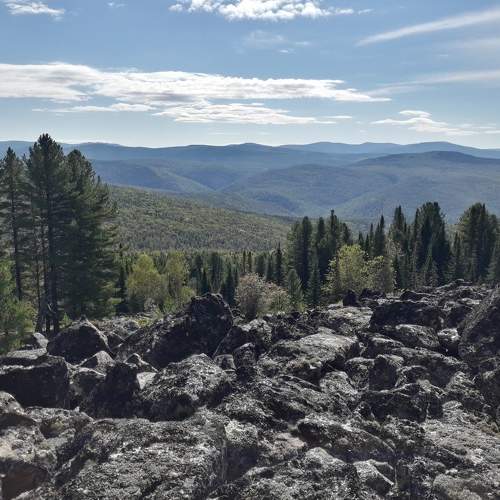 Photo #6958503