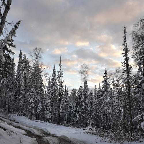 Photo #6958504