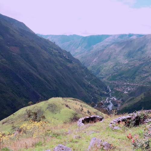 Photo #6958648