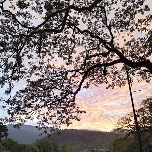 Sunrise