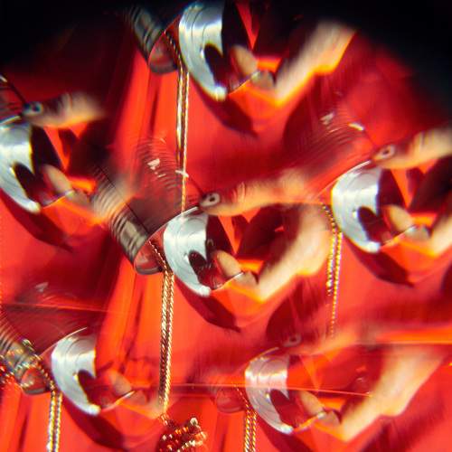 Photo #6958993