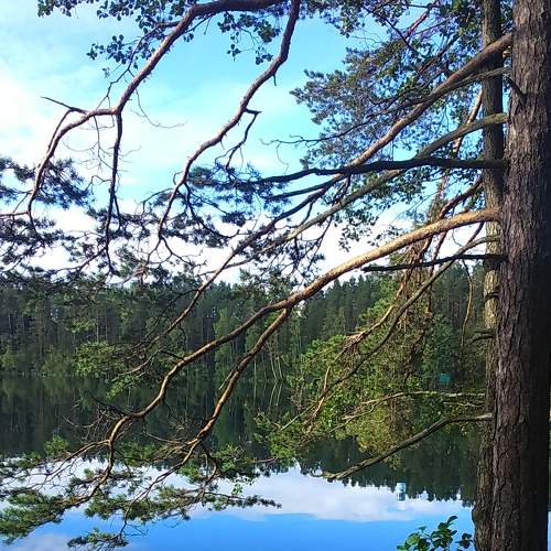 Photo #6959036