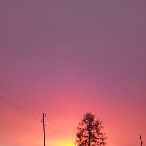 Photo #6959333