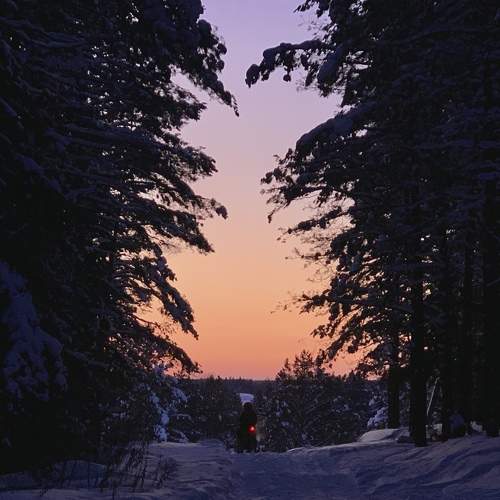 Photo #6959366
