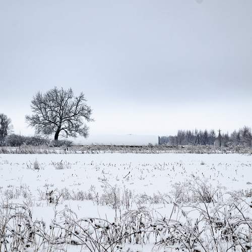 Photo #6959575