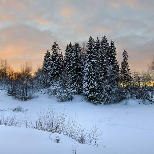Photo #6959701