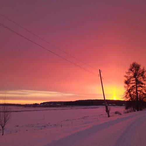 Photo #6959928