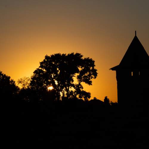 Photo #6960130