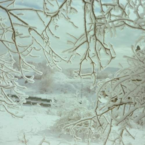 Photo #6960276