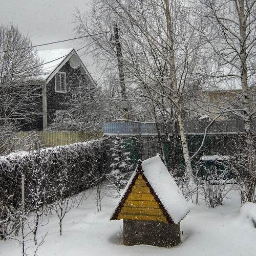 Photo #6960304