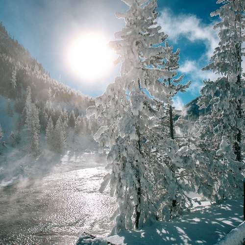 Photo #6960387