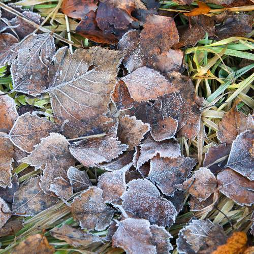 Photo #6960483