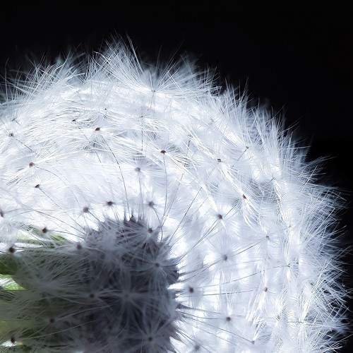 Photo #6961151