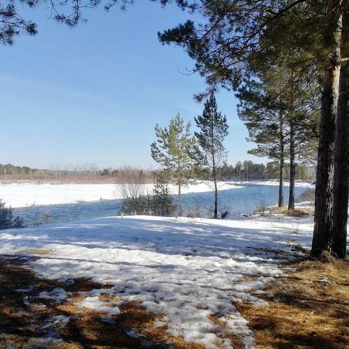 Photo #6961388