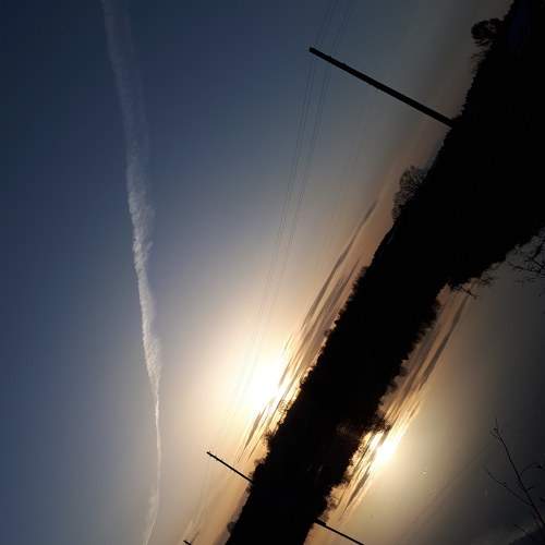 Photo #6961420