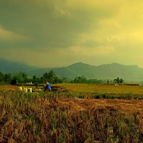 Photo #6961439