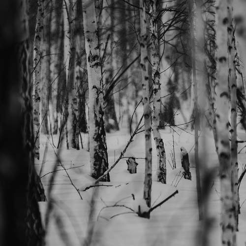 Photo #6961567