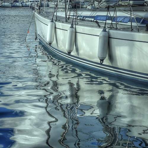 Photo #6961956