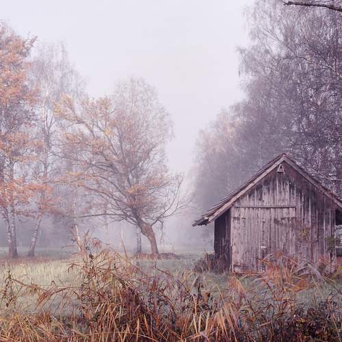 Photo #6962395