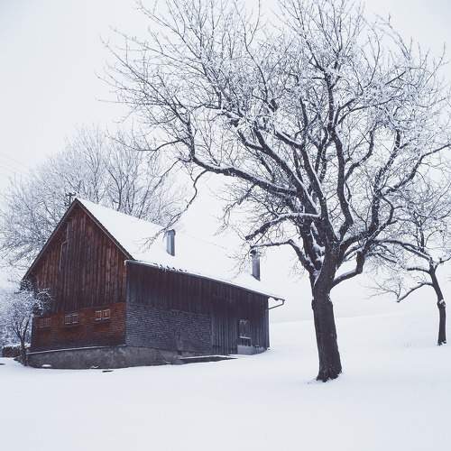 Photo #6962453