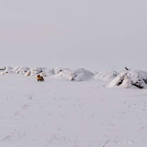 Photo #6962474