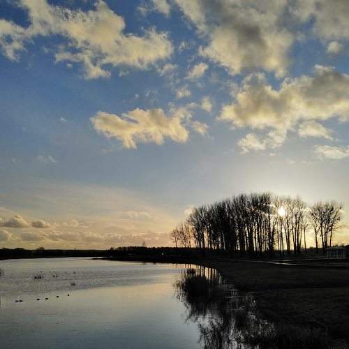 Photo #6962559