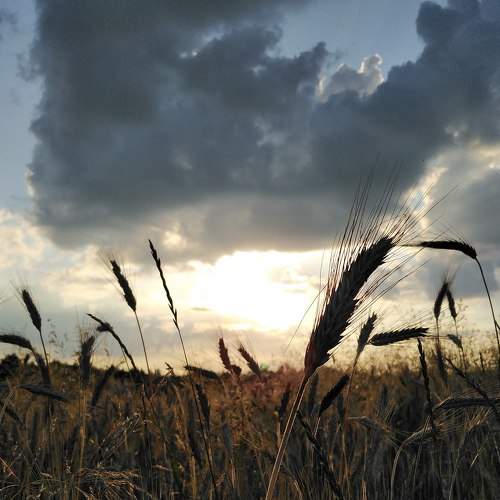 Photo #6962581