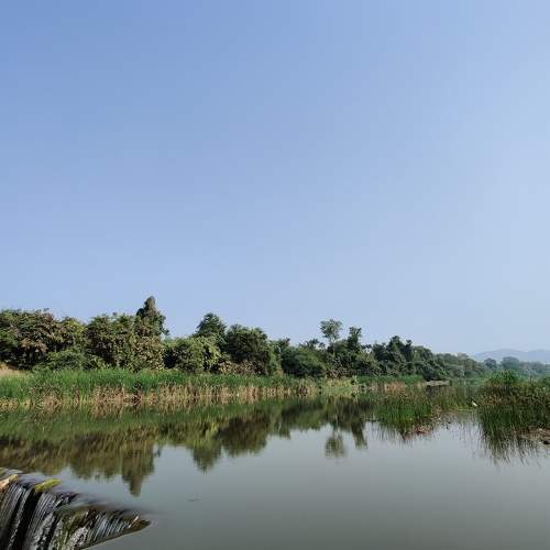 Photo #6962944