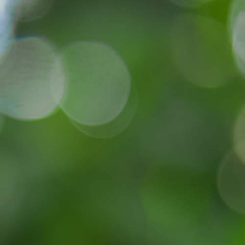 Photo #6962962