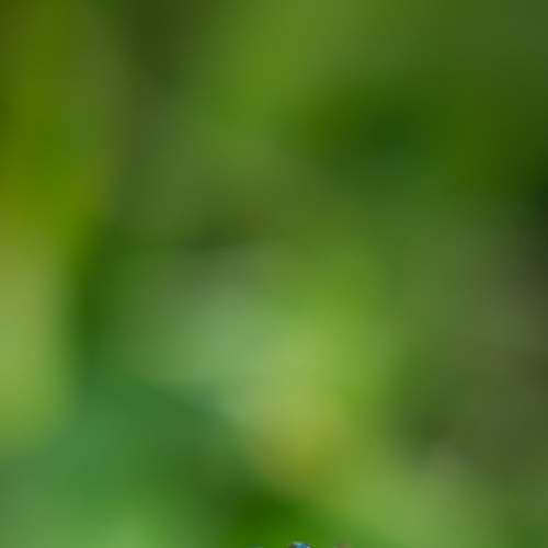 Photo #6962965