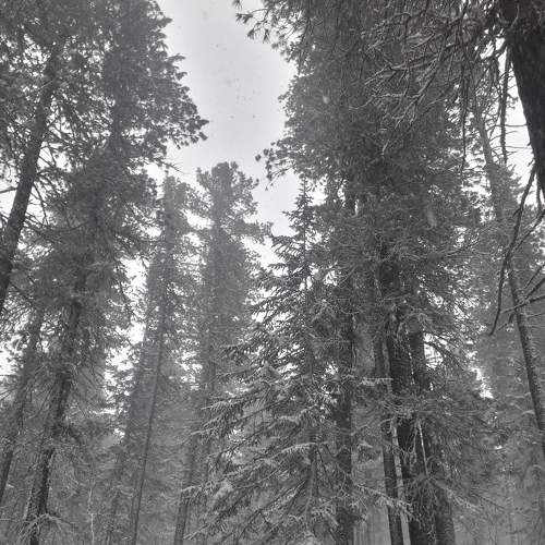 Photo #6963063