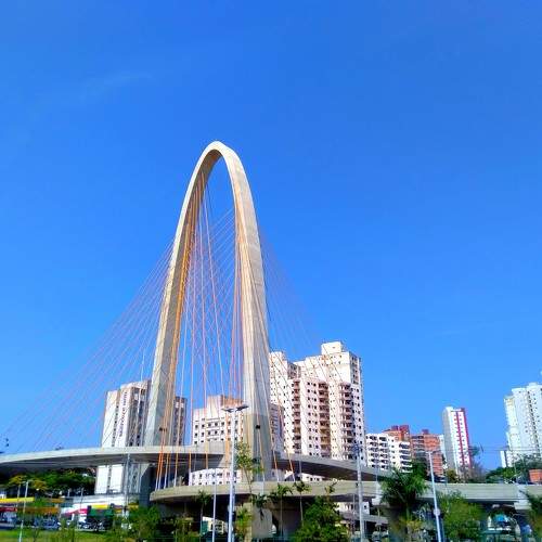 Photo #6963067