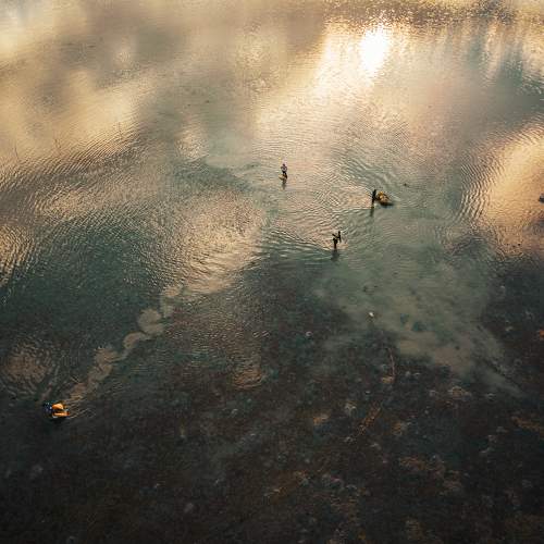 Photo #6963068