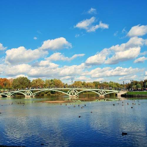 Photo #6963167