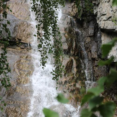 Photo #6963249