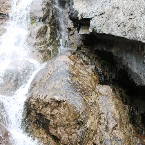 Photo #6963256