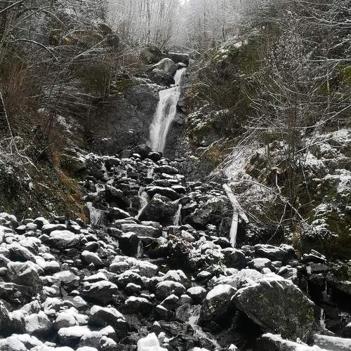 Photo #6963306