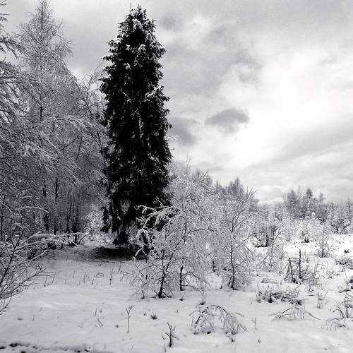 Photo #6963344