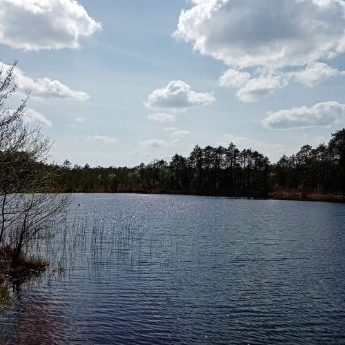 Photo #6963419